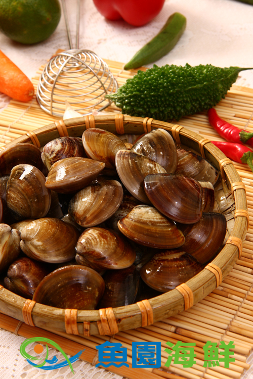 【魚園海鮮】生鮮冷凍文蛤